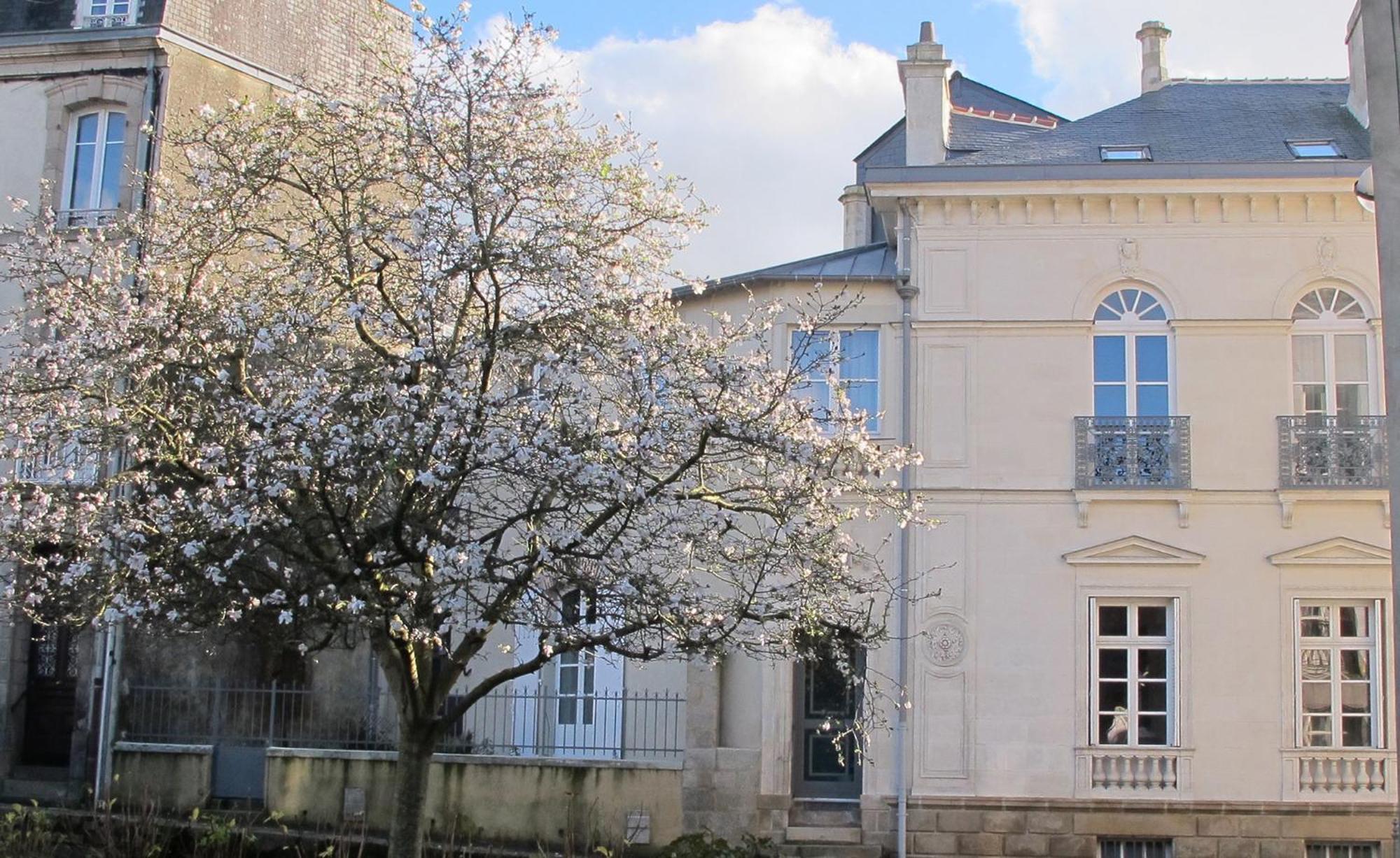 Une Suite A Vannes Ngoại thất bức ảnh
